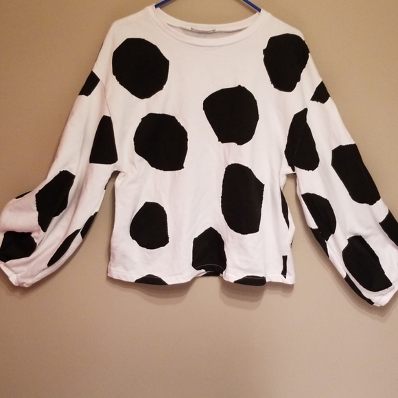 Zara Sweaters - Zara W/B collection sweater